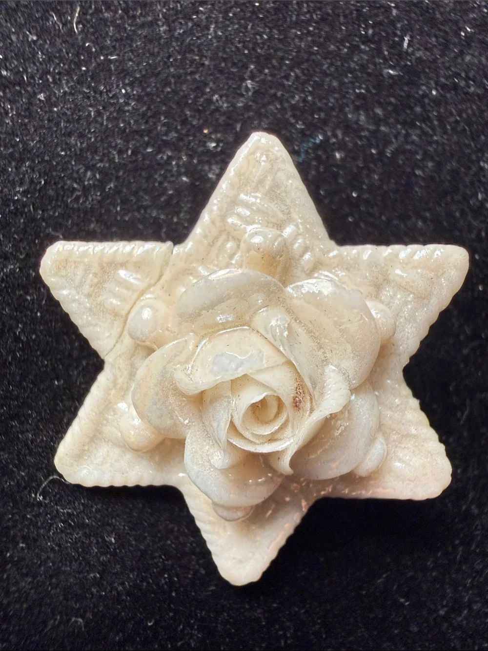 Cream Star & Rose Brooch – Elegant Women's Jewelry
